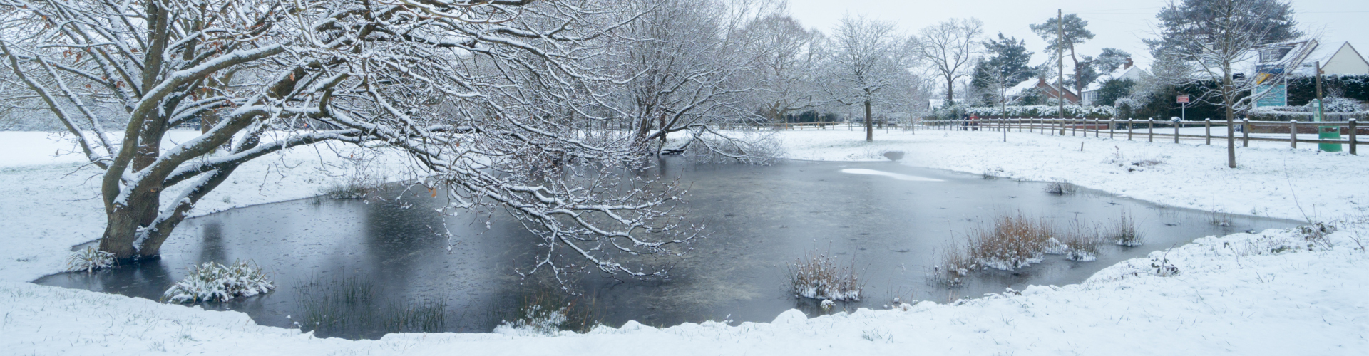 Mortimer pond in winter