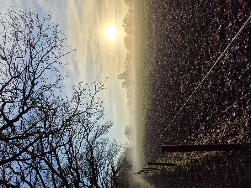 Highly Commended – Clare Darbyshire – sunrise in misty field